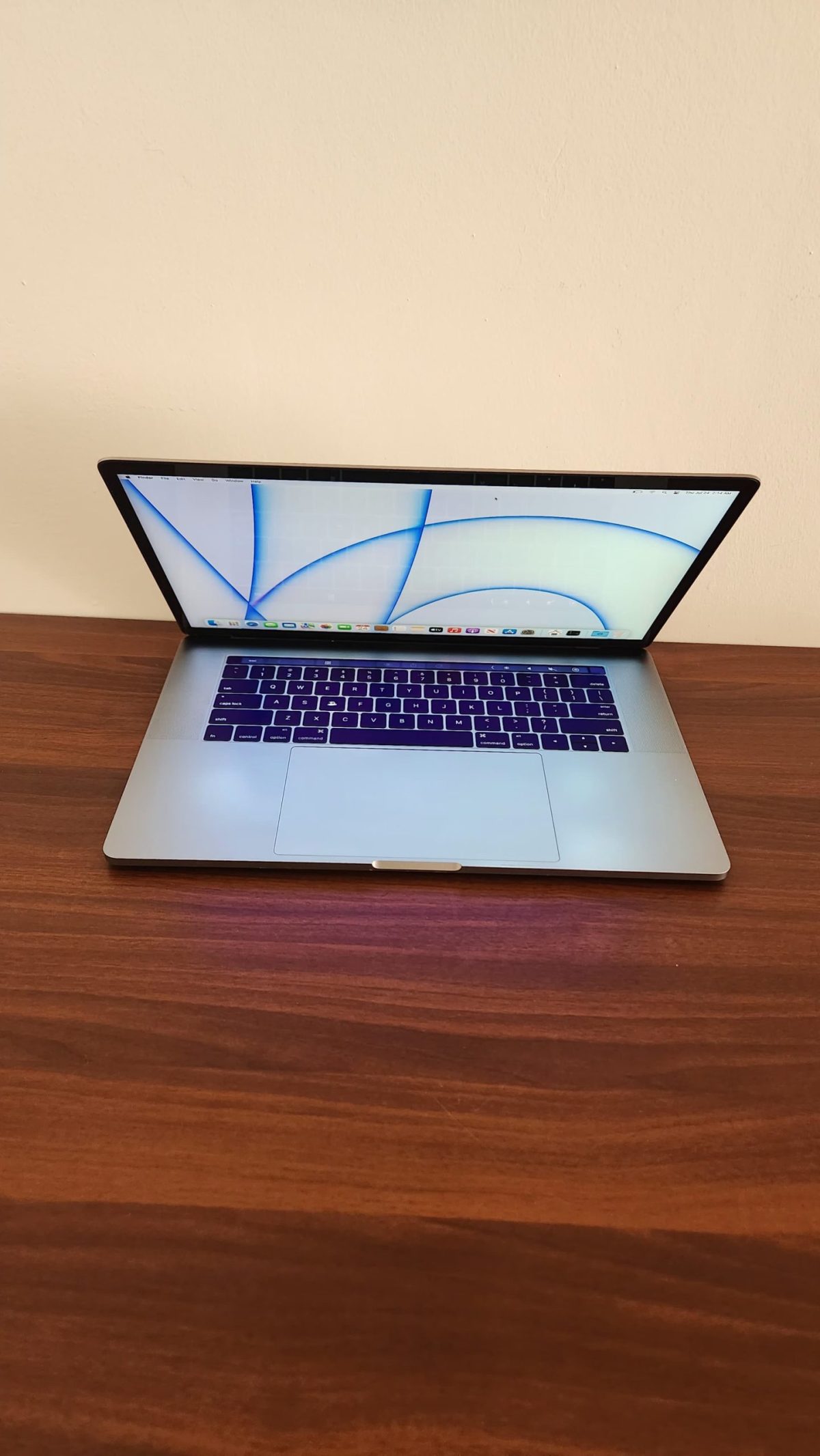 2016 MacBook Pro with TouchBar i5 2.9ghz 500GB HD