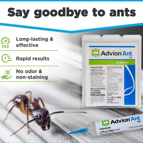 Advion Ant Gel Bait – Powerful Indoor and Outdoor Ant Control with 0.05% Indoxacarb