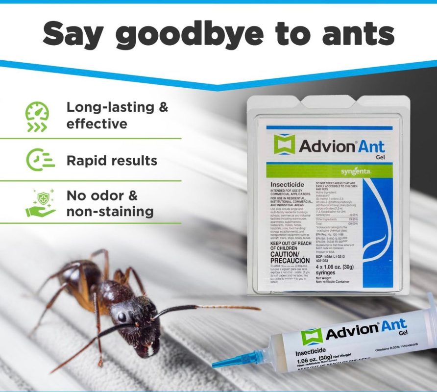 Advion Ant Gel Bait – Powerful Indoor and Outdoor Ant Control with 0.05% Indoxacarb