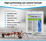 Advion Ant Gel Bait – Powerful Indoor and Outdoor Ant Control with 0.05% Indoxacarb - Image 4