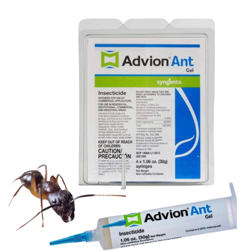 advion ant control