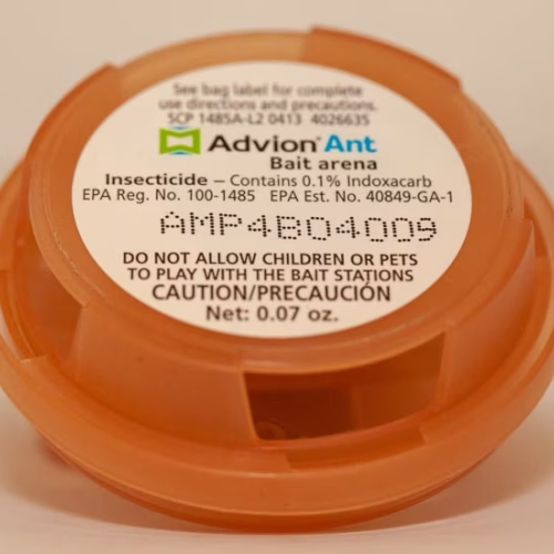 Advion Ant Bait Arena Pack | 1pc