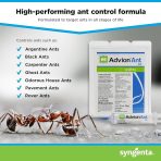 Syngenta Advion Ant Gel Bait 4 Tubes x 30g | Professional Ant Control | Brand New - Image 6
