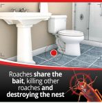 Combat Max Large Roach Killing Bait | 1 Station | Fipronil 0.03% | USA Imported - Image 7